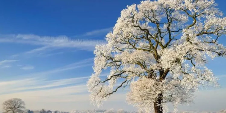 En uzun gece: Kış gündönümü tarih boyunca neden ve nasıl kutlandı?