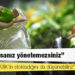 Enflasyon hakkında ekonomistler ne diyor?