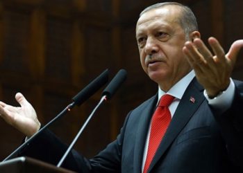 Erdoğan: Benim Türk liram varken ne işin var senin halen yok dolardı, yok avroydu