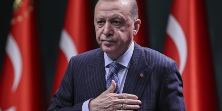 Erdoğan karikatürlerini paylaştı, hapis cezası aldı