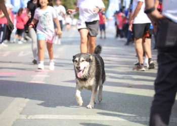 Erdoğan konuştu, Çevre Bakanlığı harekete geçti