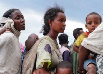 Etiyopya: Gıda depoları yağmalandı, BM iki kasabada gıda yardımını askıya aldı