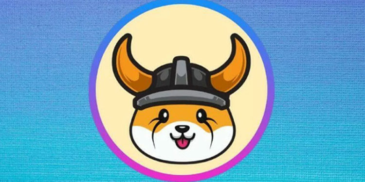 Fenerbahçe'ye yeni sponsor: Floki