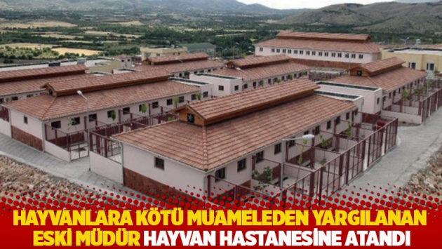 Hayvanlara kötü muameleden yargılanan eski müdür hayvan hastanesine atandı