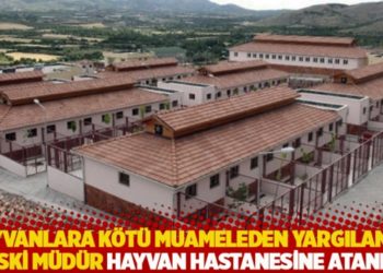 Hayvanlara k&ouml;t&uuml; muameleden yargılanan eski m&uuml;d&uuml;r hayvan hastanesine atandı