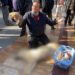Katledilen köpeğin cansız bedeniyle valilik önünde eylem yapan yurttaş gözaltına alındı
