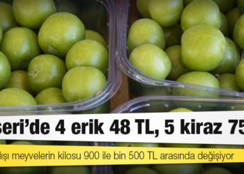 Kayseri'de 4 erik 48 TL, 5 kiraz 75 TL