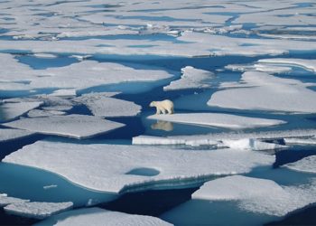 Kuzey Kutbu’nda sıcaklık rekor kırdı