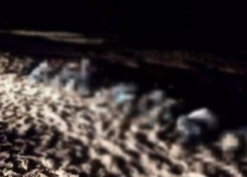 Libya açıklarında biri bebek, 27 göçmenin cansız bedeni kıyıya vurdu