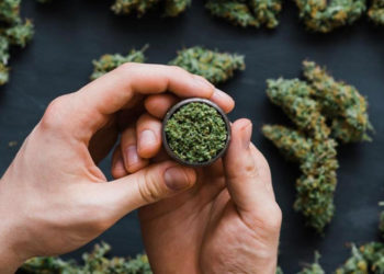 Malta, esrarı yasallaştırıyor