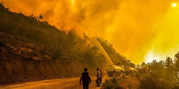Manavgat yangını davasında tutuklu çocuk ilk duruşmada tahliye oldu