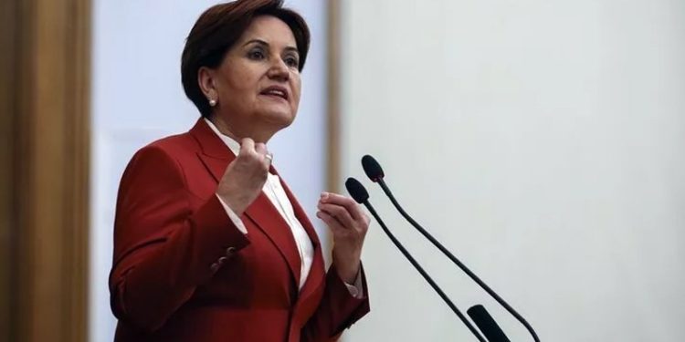 Meral Akşener: Böyle kalkınma olmaz, böyle ülke olmaz