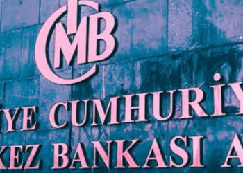 Merkez Bankası'ndan BOTAŞ'a rekor döviz satışı