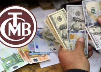 Merkez Bankası'ndan rekor üstüne rekor kıran dövize bir müdahale daha