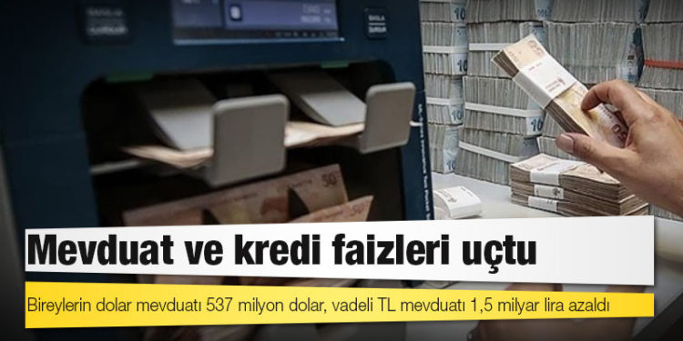 Mevduat ve kredi faizleri uçtu; bireylerin dolar mevduatı 537 milyon dolar, vadeli TL mevduatı 1,5 milyar lira azaldı