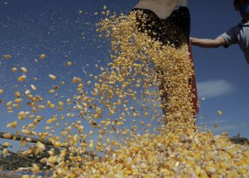 Ne Bitcoin ne de döviz, gübre roket gibi