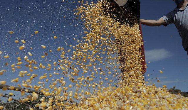 Ne Bitcoin ne de döviz, gübre roket gibi