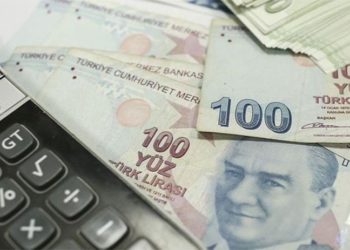 Nedim Türkmen: Çalışma barışını yok eden asgari ücret düzenlemesi