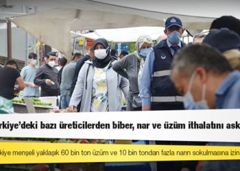 Rusya, Türkiye'deki bazı üreticilerden biber, nar ve üzüm ithalatını askıya aldı