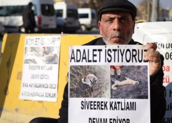 Saldırıyla eşi, oğlu ve kardeşi öldürülen Serdar İzol: Ölümle tehdit edildim