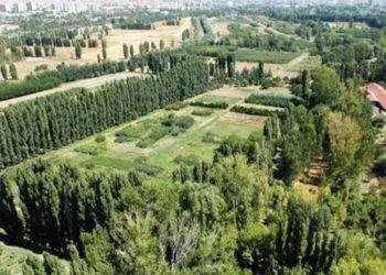 Sayıştay raporunda AOÇ Müdürlüğü’ne ‘şeffaflık’ eleştirisi