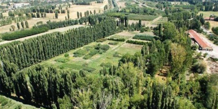 Sayıştay raporunda AOÇ Müdürlüğü’ne ‘şeffaflık’ eleştirisi