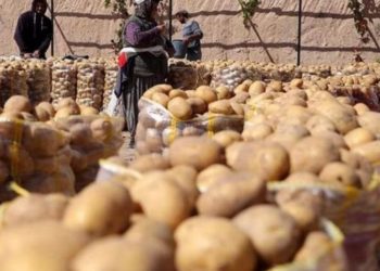 Sofrada lüks haline geldi: Böyle giderse patates soğan ithalatı başlayacak