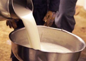 Süt ve süt ürünlerinde 2022 korkusu: Et fiyatlarını da vuracak