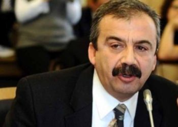 Sırrı Süreyya Önder 'damat ihale aldı' iddiasını yalanladı