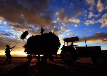 TZOB'dan risk uyarısı: Üretimi artırmaktan başka çaremiz yok