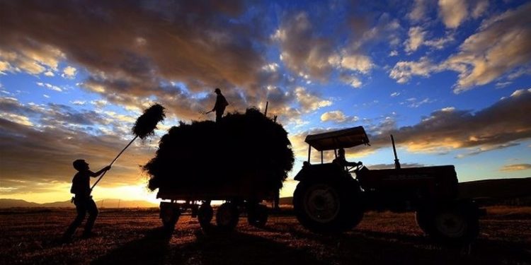 TZOB'dan risk uyarısı: Üretimi artırmaktan başka çaremiz yok
