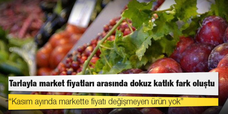 Tarlayla market fiyatları arasında dokuz katlık fark oluştu
