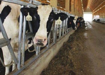 TÜSEAD Başkanı: Önce aile işletmeleri gider, sonra biz kapıya kilit vururuz