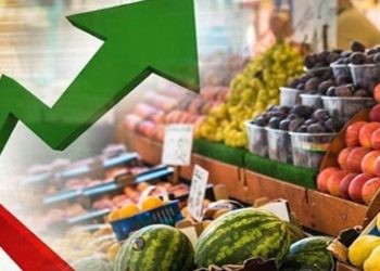 TÜİK'in tartışmalı verileri hakkında ekonomistler ne diyor?