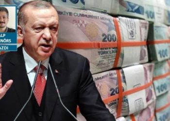 Türk Doları - bir iflasın itirafı