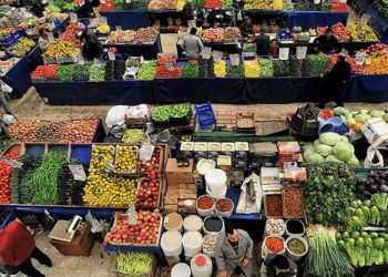 Türkiye, AB kapısından ‘ciddi seviyede zehirli' diye geri gönderilen meyve ve sebzeye ne yaptı?