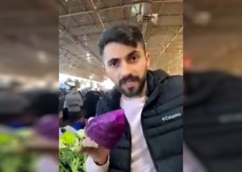 Türkiye ekonomisinin durumunu pazarcı özetledi: Çeyrek lahana sattım