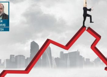 YEE (Yeni Ekonomik Enstrüman) ve sorular