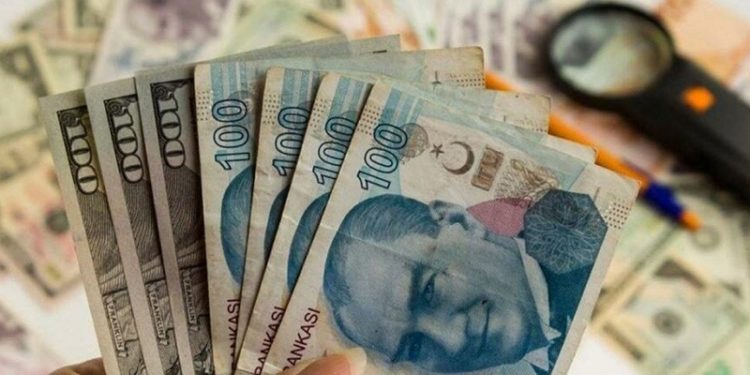 Yabancı uzmanlar kur garantili TL mevduatı değerlendirdi: TCMB para basmak zorunda kalacak