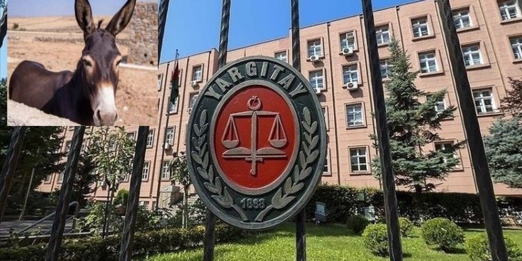 Yargıtay'dan 'eşek' kararı