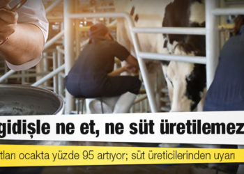 Yem fiyatları ocakta yüzde 95 artıyor; süt üreticilerinden uyarı: Bu gidişle ne et, ne süt üretilemez