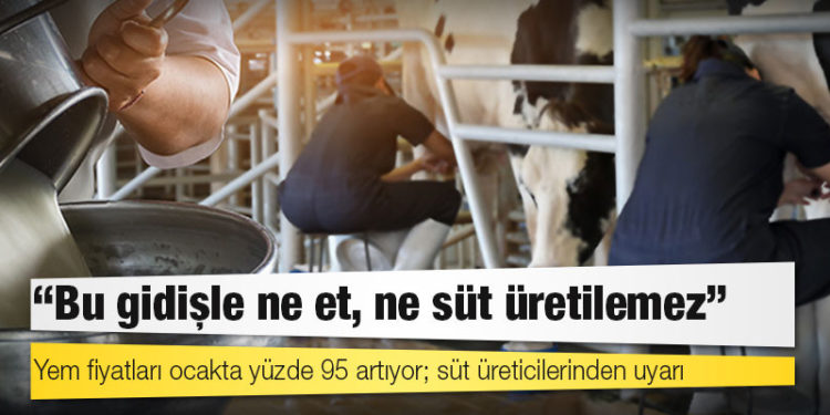 Yem fiyatları ocakta yüzde 95 artıyor; süt üreticilerinden uyarı: Bu gidişle ne et, ne süt üretilemez