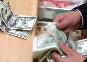 Yeminli Mali Müşavir Tolu, 'Dövize endeksli mevduat sistemi' nasıl işleneceğini anlattı