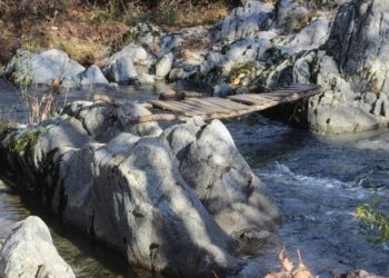 Yolu kısaltmak için dere üstüne köprü kurdu, canından oldu