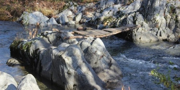 Yolu kısaltmak için dere üstüne köprü kurdu, canından oldu