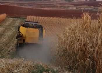 ZMO Başkanı Melik: Bir ton gübre ile bir dönüm arazi fiyatı eşitlendi