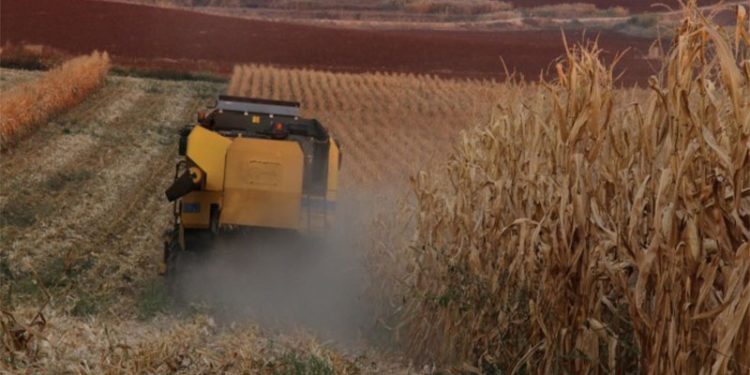 ZMO Başkanı Melik: Bir ton gübre ile bir dönüm arazi fiyatı eşitlendi