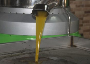 Zeytinyağında artan maliyetler satışı durdurdu