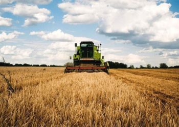 Ziraat Mühendisleri Odası Başkanı Suiçmez: Geciken destek, destek değildir