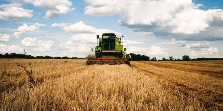 Ziraat Mühendisleri Odası Başkanı Suiçmez: Geciken destek, destek değildir
